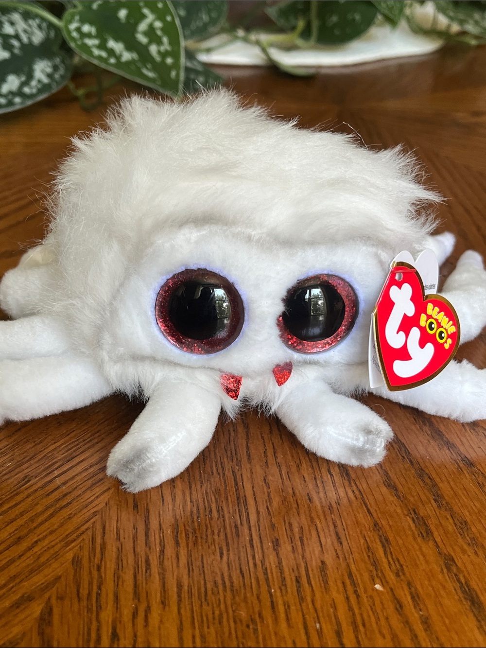 Ty Beanie Baby Boo SPINDERELLA the White Spider NWT